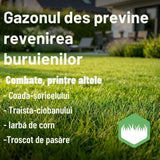 SUBSTRAL Ingrasamant pentru Gazon cu Erbicid 2 in 1, 800 g pentru 40 mp