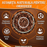 Scoarta Mulci Decorativa de Pin 10-30 mm, sac de 80 litri, protejeaza radacinile plantelor de frig si caldura