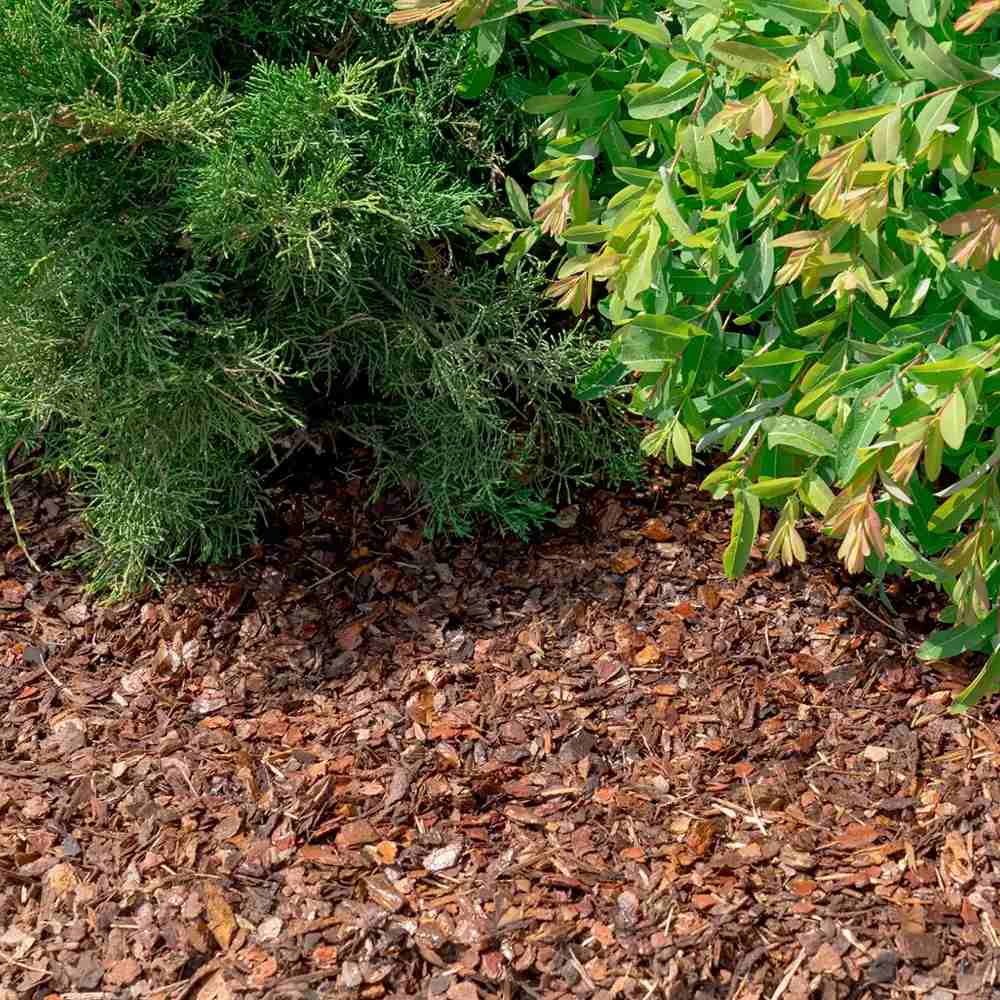 Scoarta Mulci Decorativa de Pin 10-30 mm, sac de 80 litri, protejeaza radacinile plantelor de frig si caldura