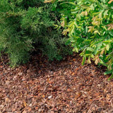 Scoarta Mulci Decorativa de Pin 10-30 mm, sac de 80 litri, protejeaza radacinile plantelor de frig si caldura