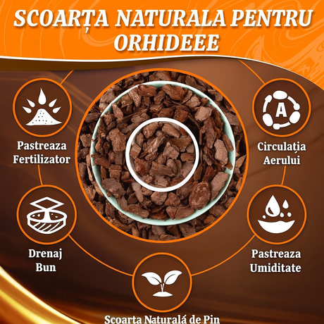 Scoarta Decorativa de Pin 30-60 mm, sac de 80 litri