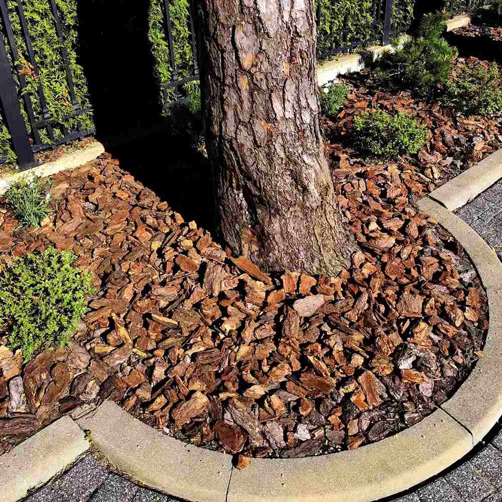 Scoarta Decorativa de Pin 30-60 mm, sac de 80 litri