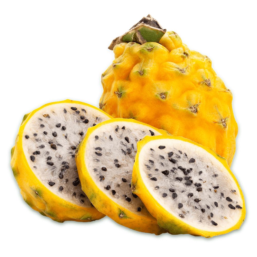 Fructul Dragonului Galben (Pitaya amarilla), planta exotica cu fructe exotice galbene si aromate, foarte dulci si aromate