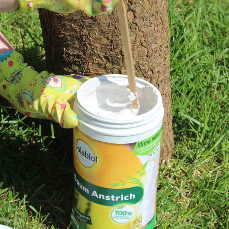 Vopsea trunchi arbori Solabiol, vopsea alba pentru protectie organica, 1.5 kg