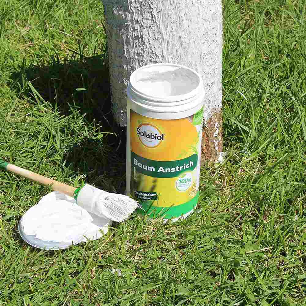 Vopsea trunchi arbori Solabiol, vopsea alba pentru protectie organica, 1.5 kg