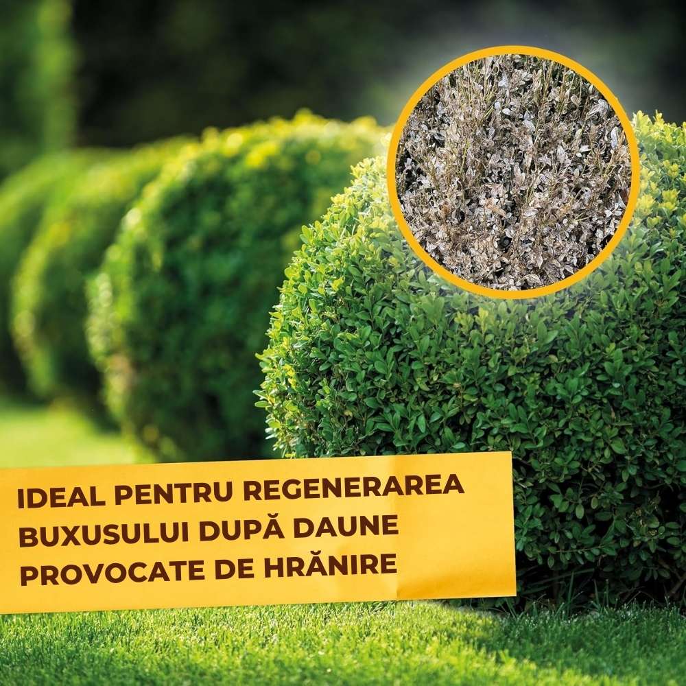 Ingrasamant organic Solabiol pentru Buxus 1.5 kg cu Activator Radacini