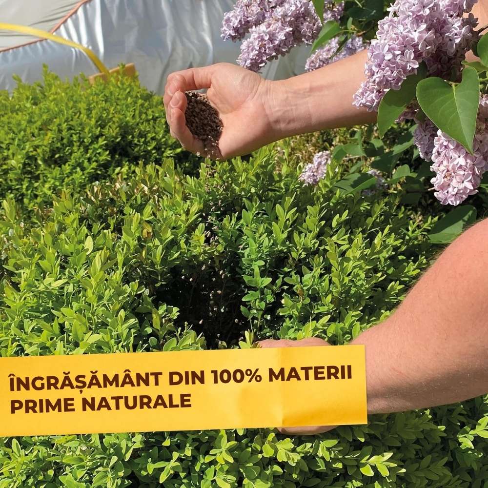 Ingrasamant organic Solabiol pentru Buxus 1.5 kg cu Activator Radacini