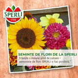 Seminte clopotei Campana Mischung – flori parfumate, ajunge pentru 100 Plante, cu protectie germinatie