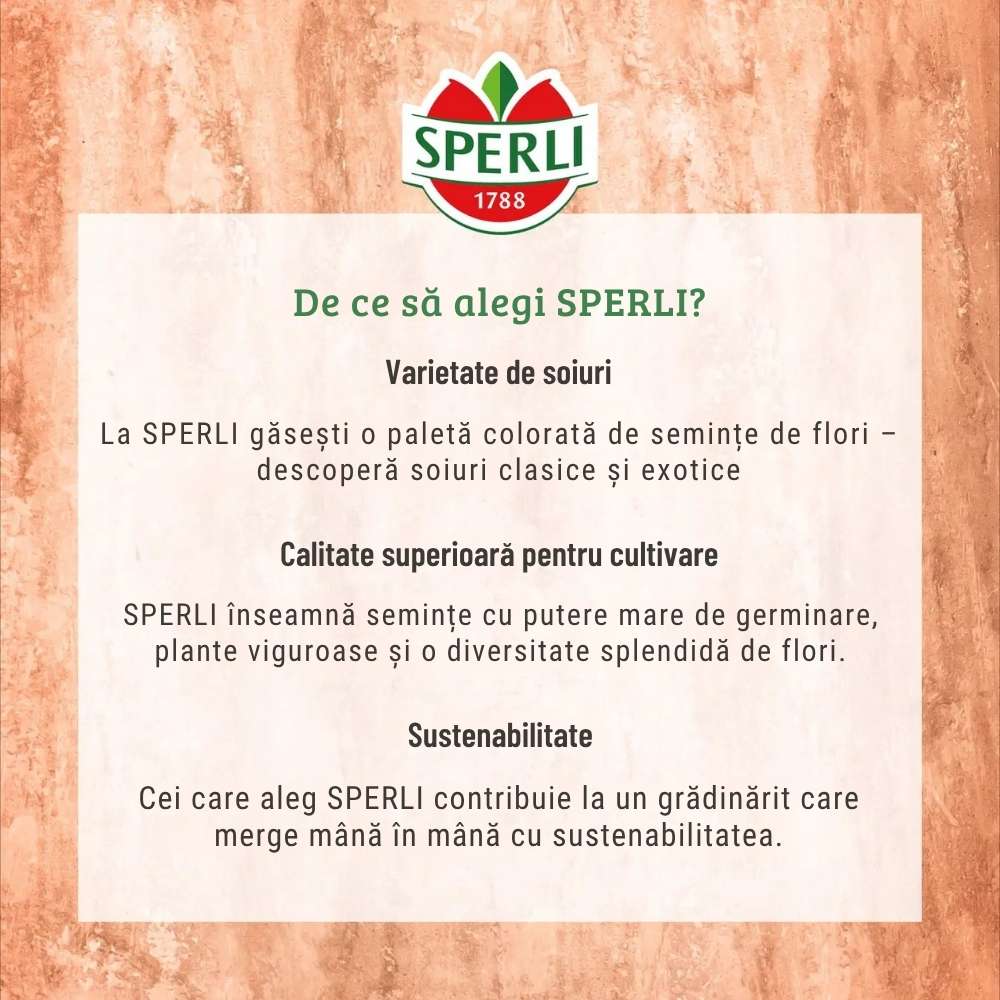Seminte clopotei Campana Mischung – flori parfumate, ajunge pentru 100 Plante, cu protectie germinatie