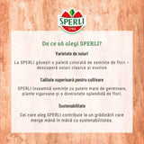 Seminte clopotei Campana Mischung – flori parfumate, ajunge pentru 100 Plante, cu protectie germinatie