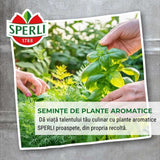 Seminte BIO musetel – planta medicinala cu flori parfumate