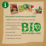 Seminte BIO spanac F1 – productie rapida si frunze fragede