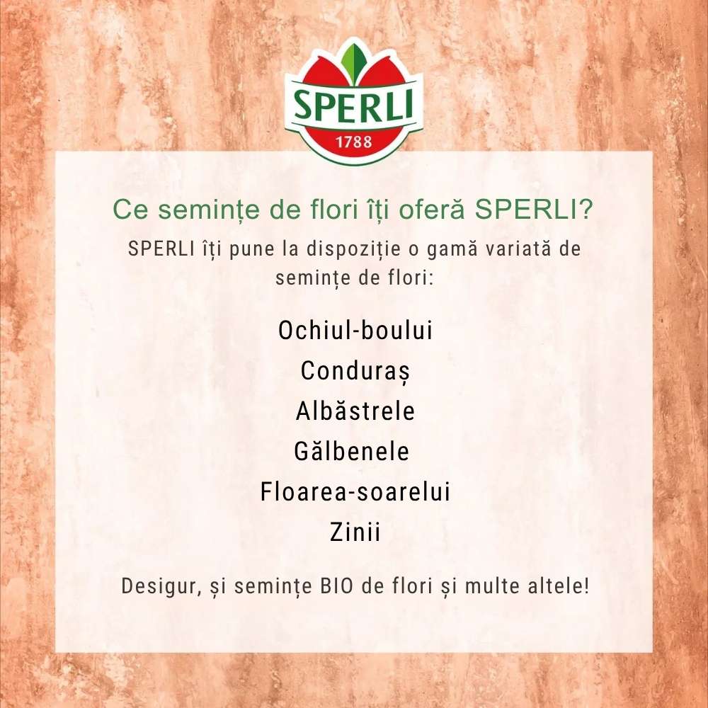 Seminte floare lampion Mikie's Laterne – decorativa si de efect