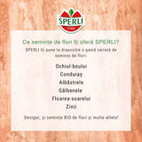 Seminte floare lampion Mikie's Laterne – decorativa si de efect