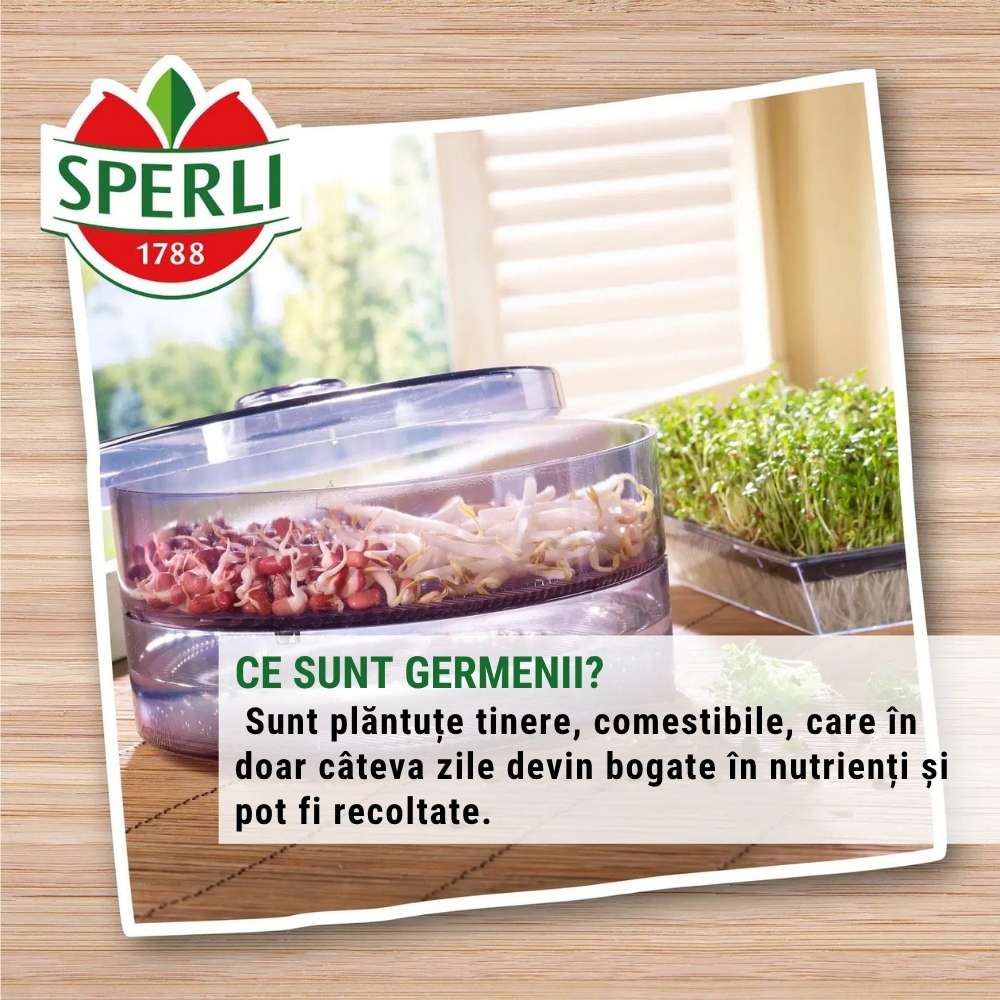 BIO lastari de broccoli – seminte pentru germinare usoara, 15 g, cu protectie germinatie