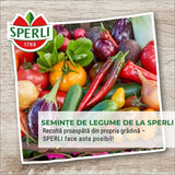 Seminte BIO spanac F1 – productie rapida si frunze fragede