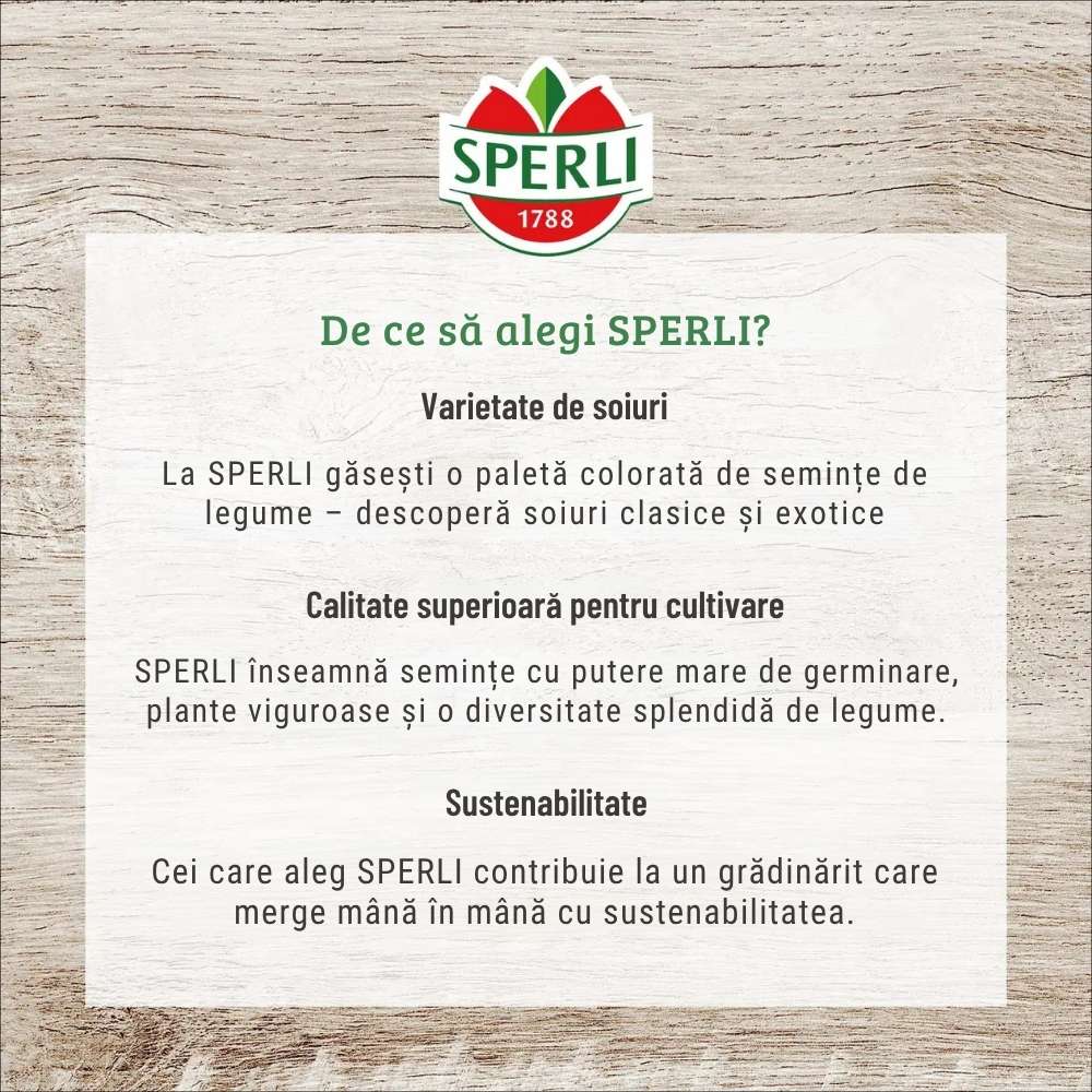 Seminte BIO spanac F1 – productie rapida si frunze fragede