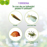 Spray Contra Bolilor Fungice la Trandafiri si Plante Ornamentale, 400 ml, PROTECT GARDEN