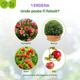 Spray Contra Bolilor Fungice la Trandafiri si Plante Ornamentale, 400 ml, PROTECT GARDEN