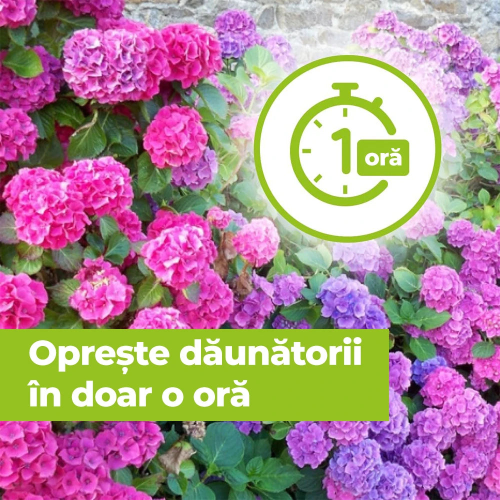 Spray Contra Bolilor Fungice la Trandafiri si Plante Ornamentale, 400 ml, PROTECT GARDEN