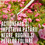 Spray Fungicid Duaxo pentru Trandafiri si Plante Ornamentale Compo, preventiv pentru boli fungice, 400 ml