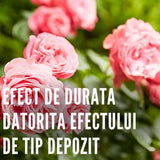 Spray Fungicid Duaxo pentru Trandafiri si Plante Ornamentale Compo, preventiv pentru boli fungice, 400 ml