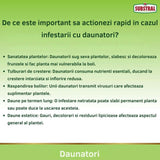 Insecticid Lichid pentru Plante Ornamentale,  400 ml, Contra Daunatorilor precum Afide, Cosenile si Omizi
