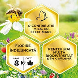 Substral Die Blumenwiese Seminte Pajiste Florala pentru Albine si Fluturi 300 g, pentru 30 mp