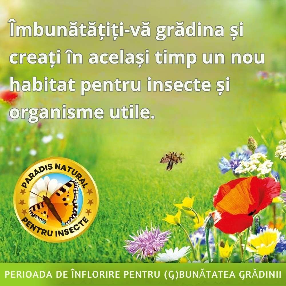 Substral Die Blumenwiese Seminte Pajiste Florala pentru Albine si Fluturi 300 g, pentru 30 mp