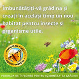Substral Die Blumenwiese Seminte Pajiste Florala pentru Albine si Fluturi 300 g, pentru 30 mp