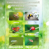 Substral Die Blumenwiese Seminte Pajiste Florala pentru Albine si Fluturi 300 g, pentru 30 mp