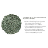 Substral Seminte Gazon "Cel Robust'', Sport si Joaca 5 kg pentru 250 mp