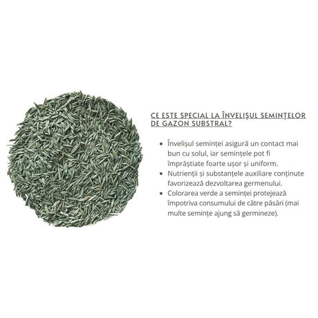 Substral Seminte Gazon "Cel Robust'', Sport si Joaca 5 kg pentru 250 mp