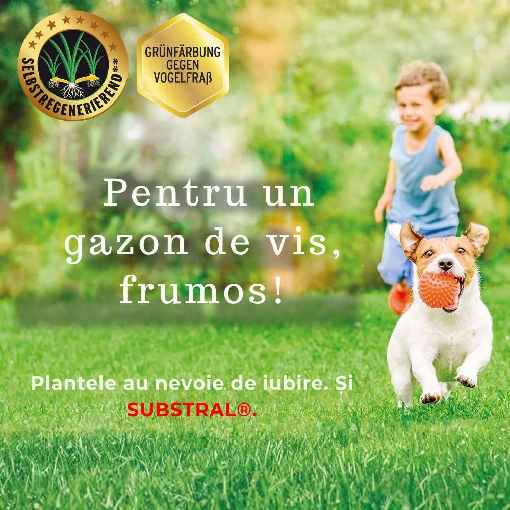 Substral Seminte Gazon "Cel Robust'', Sport si Joaca 5 kg pentru 250 mp