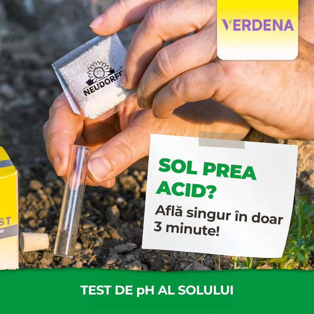 Test de pH pentru Sol, 1 Set, Determinare Rapida si Usoara a pH-ului si Necesitatilor de Calcar, NEUDORFF