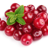 Merisor American Fireballs (Vaccinium vitis-idaea), cu fructe aromate rosii