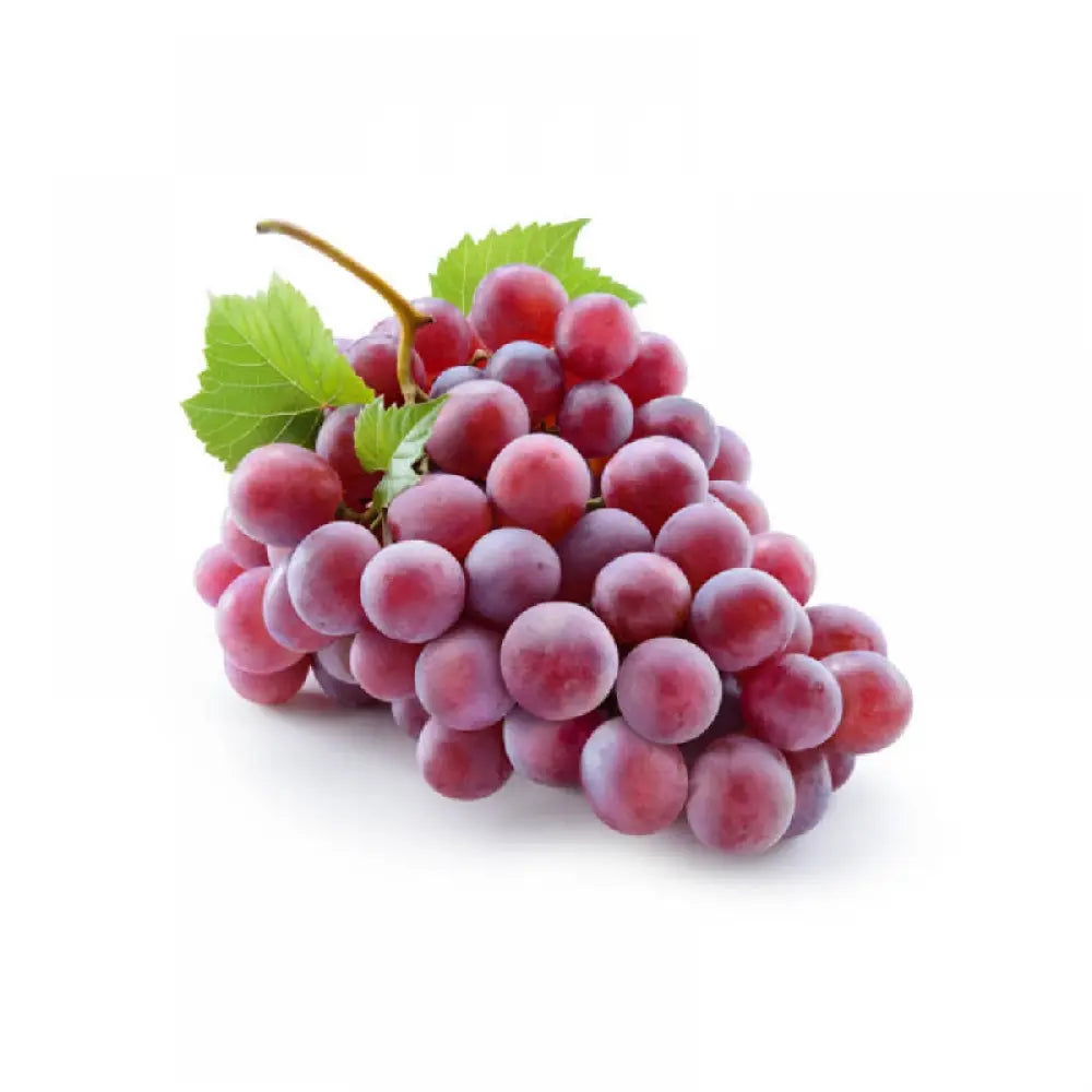 Vita de Vie (Vitis vinifera) Cardinal, cu struguri mari rosii, an 2 pe rod