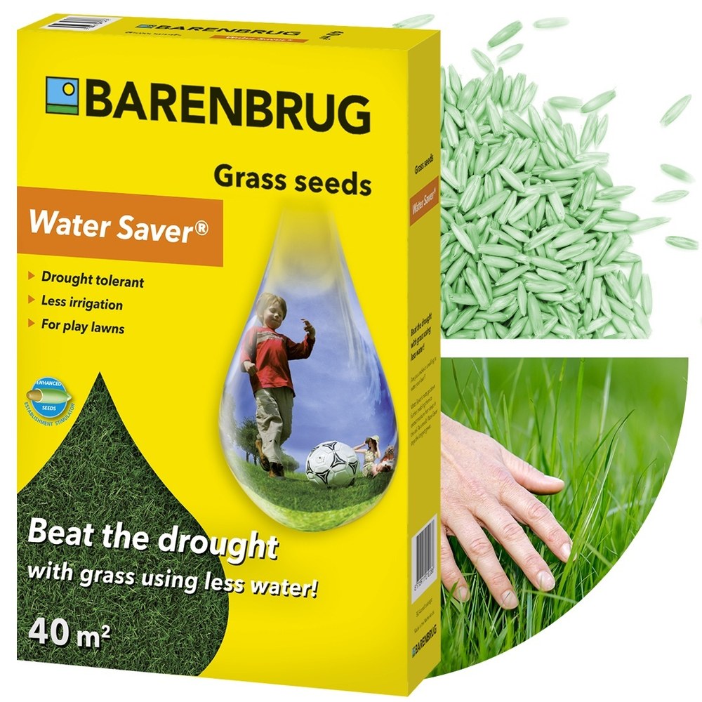 Seminte gazon Water Saver Barenbrug 1 kg, gazon rezistent la seceta si consum redus de apa, pentru 40-50 mp