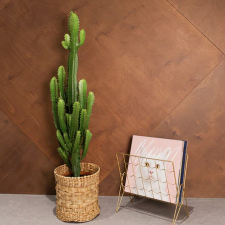 Cactus Candelabru 150 cm