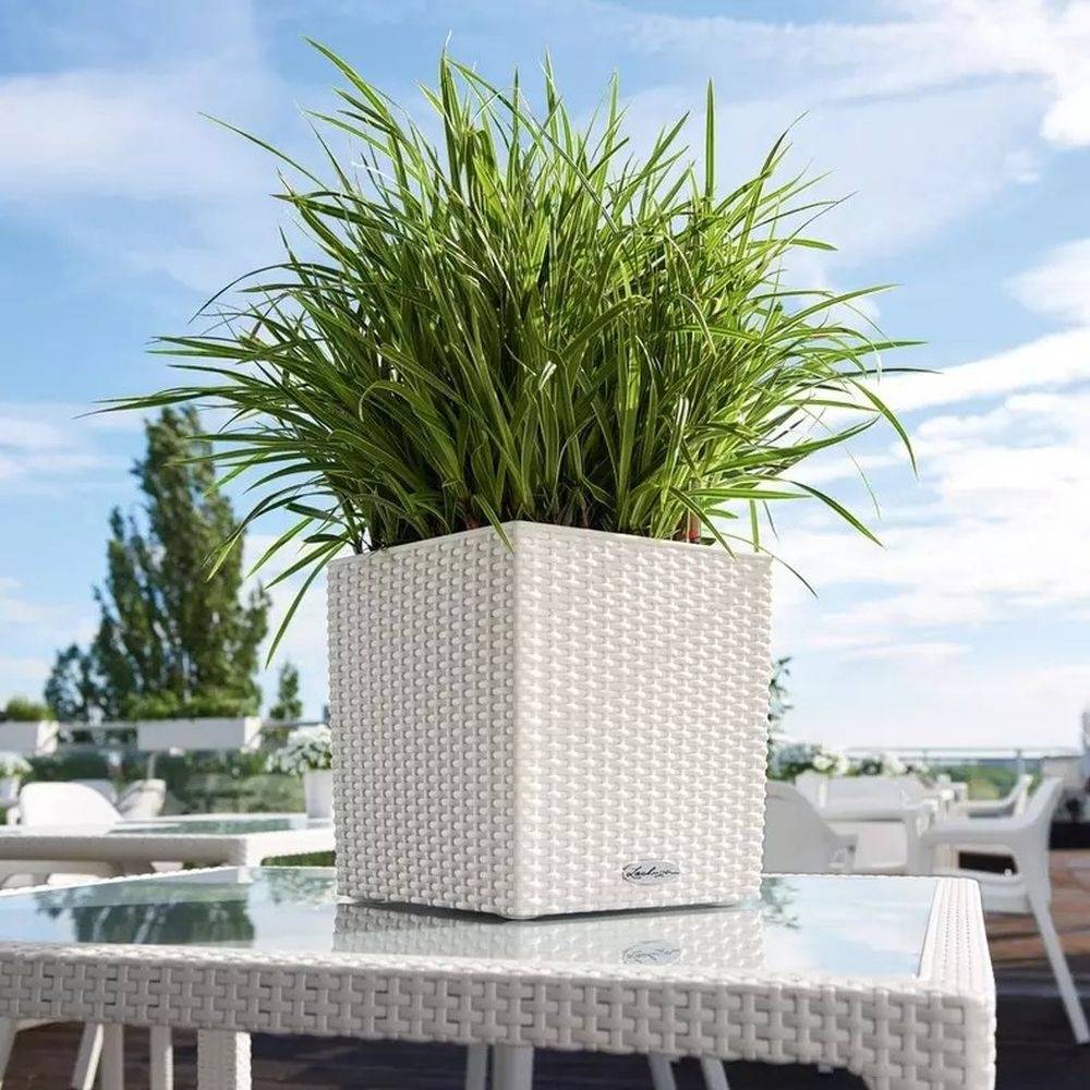Ghiveci Auto-Irigant Lechuza Cube Cottage 30, 12 l, efect de ratan alb, pentru plante cu ghiveci, sistem de autoirigare, insert detasabil, strat de drenaj
