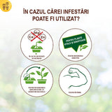 Extract de Urzica pentru Plante, 1l, SOLABIOL - VERDENA - 1 l