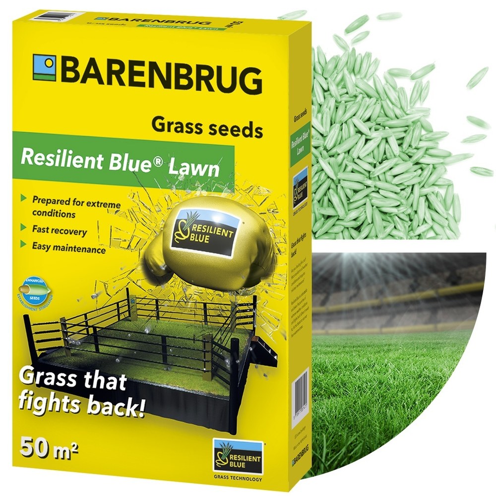 Seminte gazon Resilient Blue Lawn Barenbrug 1 kg, gazon rezistent la seceta, boli si trafic intens, regenerare rapida, pentru 50 mp
