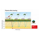 Seminte gazon cu flori Happy Lawn Barenbrug 5 kg, gazon natural cu flori si biodiversitate, pentru 250 mp