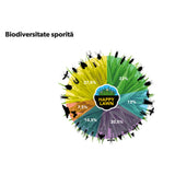 Seminte gazon cu flori Happy Lawn Barenbrug 5 kg, gazon natural cu flori si biodiversitate, pentru 250 mp