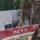 Artar Japonez Rosu Pitic Garnet, cu frunzis rosu aprins, decor spectaculos, cu textura dantelata
