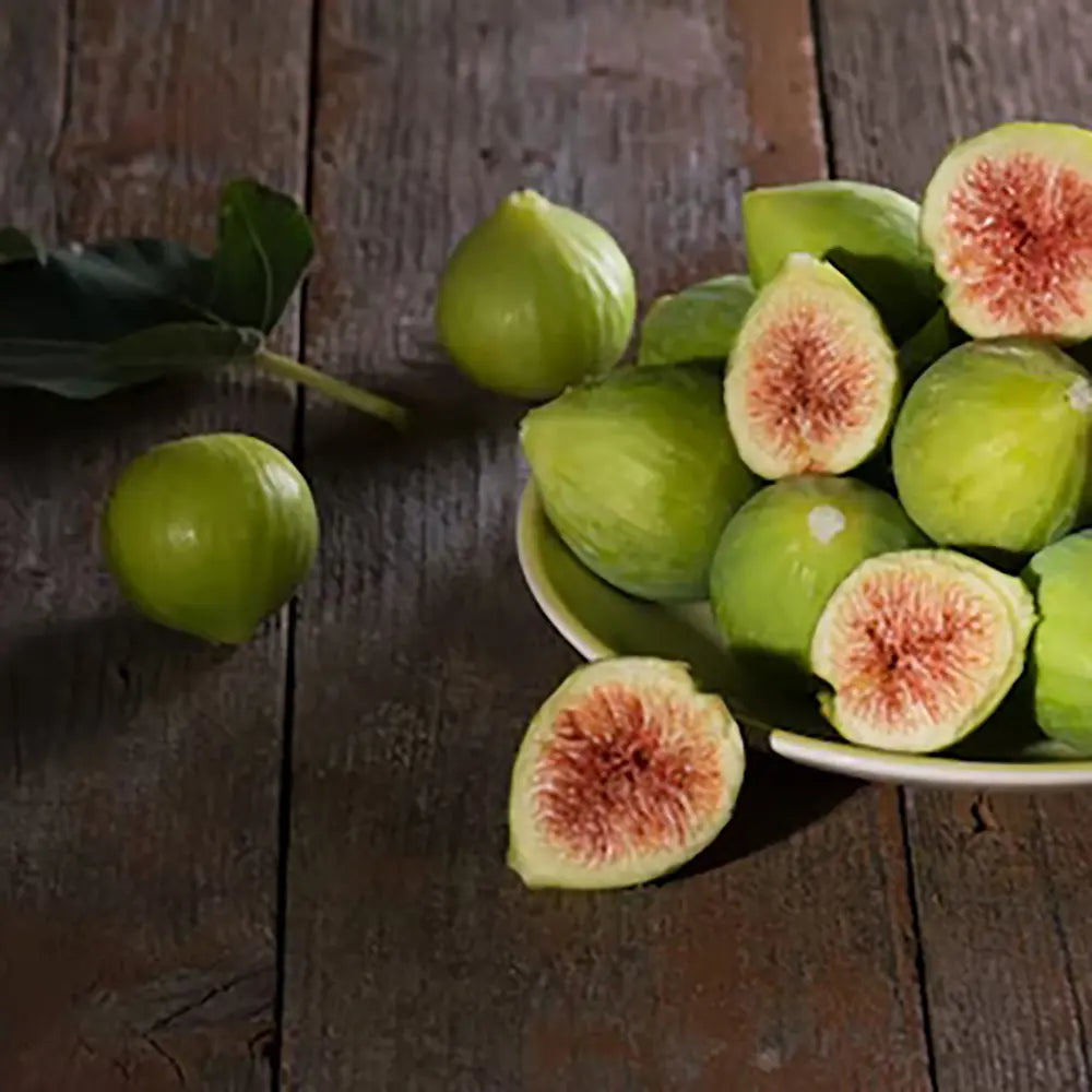 Smochin Copac (Ficus Carica) Verdino, cu fructe verzi, an 2 pe rod