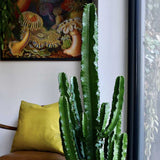 Cactus Candelabru 135 cm - VERDENA-135 cm inaltime in ghiveci de 9 L