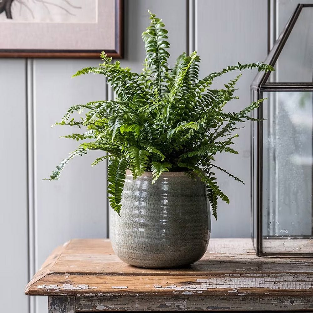 Feriga sabie de interior Green Lady - 60 cm | Verdena – VERDENA