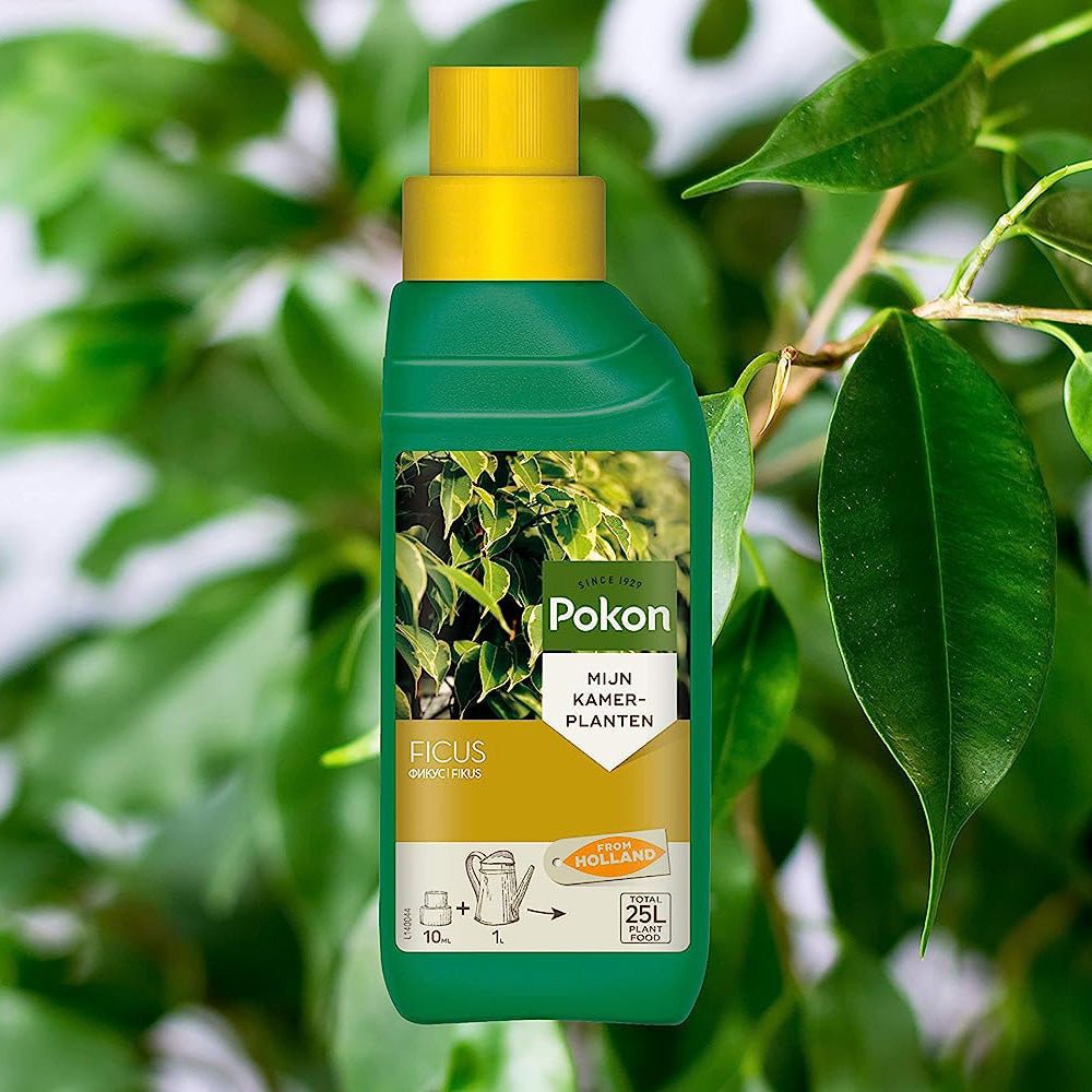 Fertilizator Lichid pentru Ficus 250 ml - VERDENA-250 ml