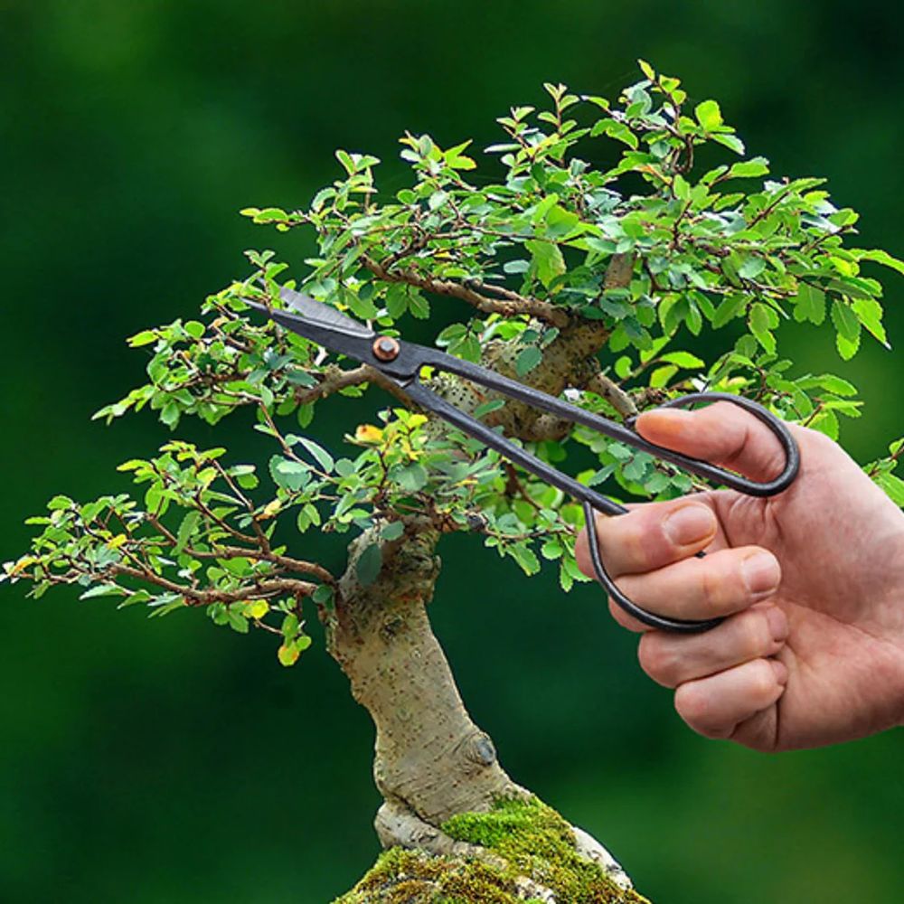 Foarfeca Bonsai Japonez din Otel Ascutit HappySeed, Ideal pentru Muguri, Frunze si Ramuri